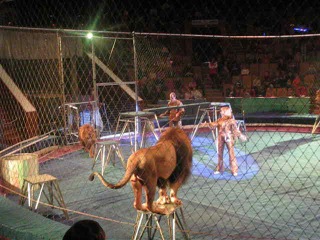 circus. horror kharkiv 2012.