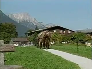 heidi 4 - iceland mountain world (1992)